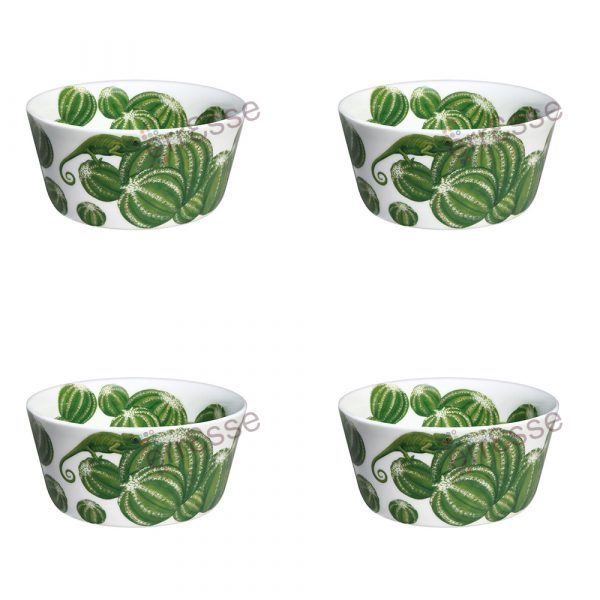 TAITÙ Cactus Bowls 4 Pieces